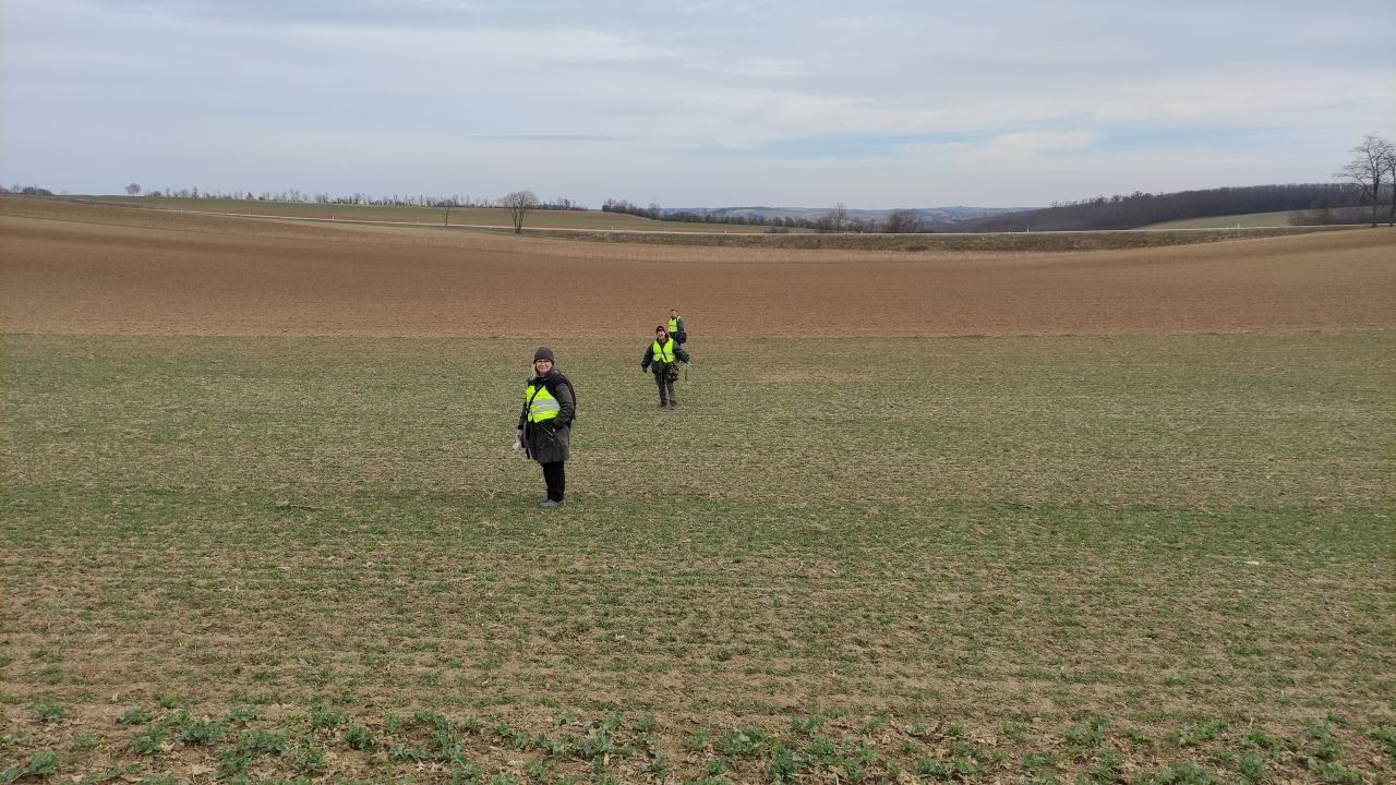 [Video] Citizen Science Seminar: Das jungsteinzeitliche „Massaker von Asparn/Schletz“ – transdisziplinäre Forschung mit Citizen Scientists