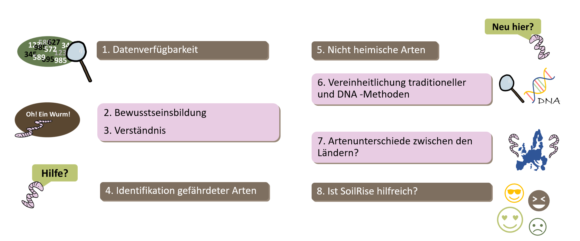 00115 03 A3 00 ziele soilrise